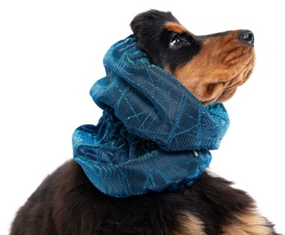 Picture of Show Tech Snood Luxe Galaxy Spaniël Blue Ear Covers